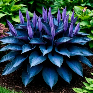 Хоста Сикрет Гров купить по цене от 570р. в интернет-магазине «Посадика» с доставкой почтой в в Дедовске и по всей России – [изображение №1].